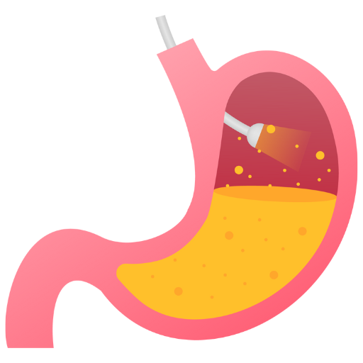 Gastroenterology Services Brisbane & Gold Coast