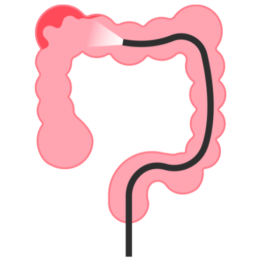 Video Capsule Endoscopy 1icon